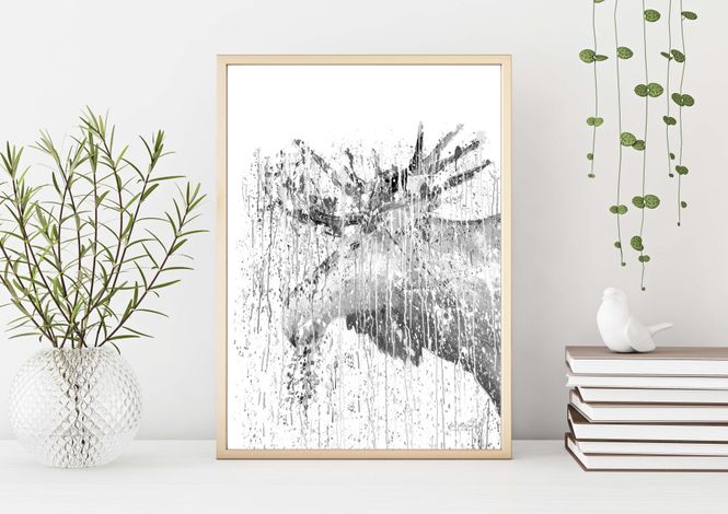 Huvudbild Poster Älg 21x30 cm